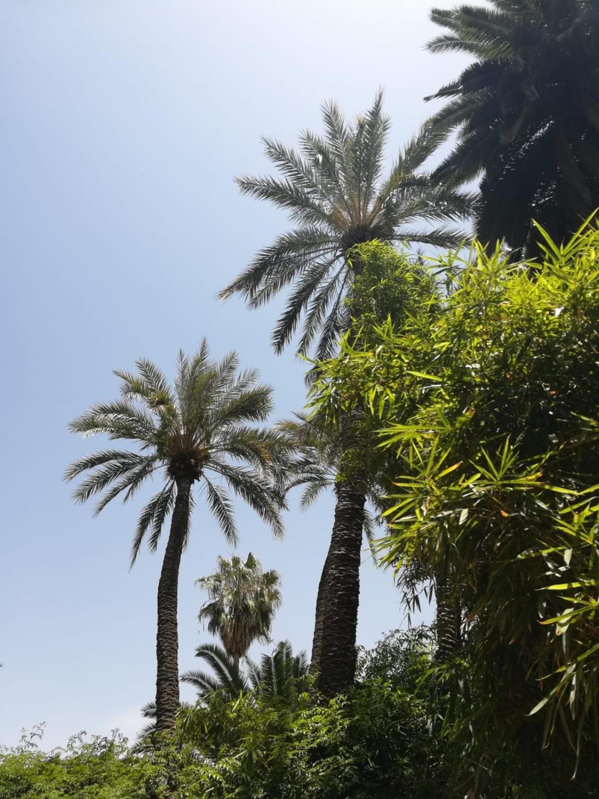 Riad Lalla Aicha-Qariya Siyahia Marrakech Marrakesh Exterior photo